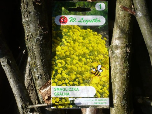 Smagliczka skalna – żółta – 0,5 g Legutko