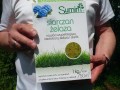 Siarczan żelaza Sumin 1 kg