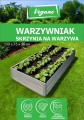 Warzywniak Szary 1.jpg