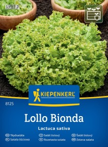 Sałata liściowa Lollo Bionda