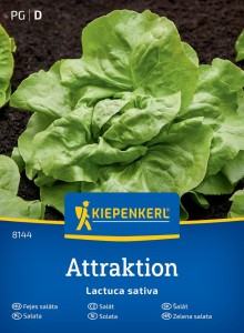 Sałata masłowa Attraktion Kiepenkerl