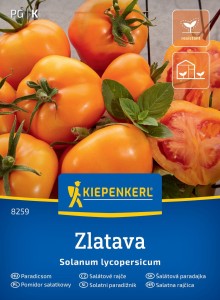 Pomidor sałatkowy Zlatava Kiepenkerl