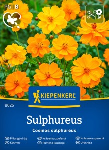 Kosmos Sulphureus Kiepenkerl