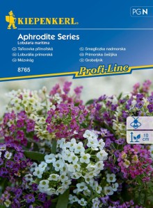 Smagliczka nadmorska Aphrodite Series Kiepenkerl