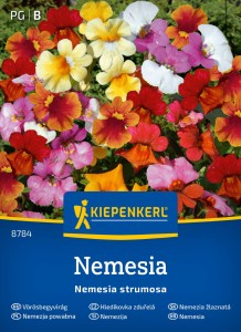 Nemezja powabna Nemesia Kiepenkerl