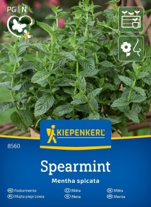 Mięta pieprzowa Spearmint nasiona - Kiepenkerl