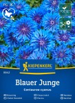 Chaber bławatek Blauer Junge nasiona - Kiepenkerl