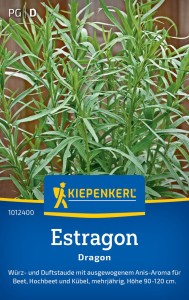 Estragon Dragon Kiepenkerl