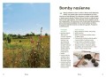 Przykładowe karty z książki