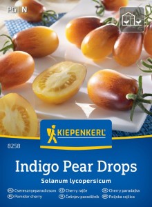 Pomidor cherry Indigo nasiona - Kiepenkerl