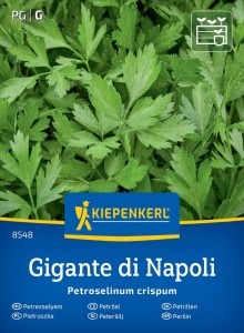 Pietruszka naciowa Gigante Di Napoli - Kiepenkerl
