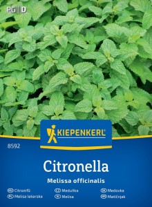 Melisa lekarska Citronella- Kiepenkerl