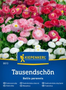 Stokrotka Tausendschön - Kiepenkerl