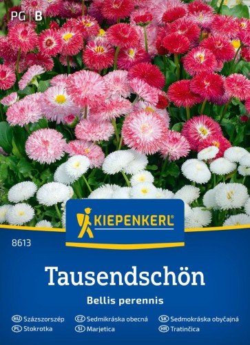 Stokrotka przód.jpg