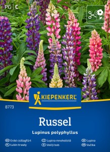 Łubin trwały mieszanka nasiona - Kiepenkerl