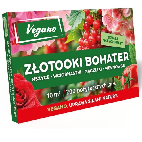 Złotooki bohater Vegano - 200 larw - 10 m² ochrony