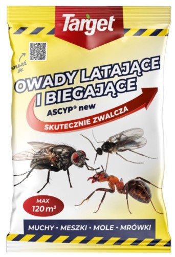 przód.jpg