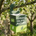 Złotooki są naturalnymi pogromcami szkodników roślin.