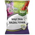 przód.jpg