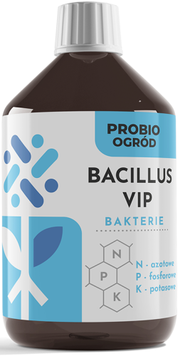 Mockup-Bacillus-Vip-2.png