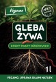 Przód etykieta 1 l.jpg
