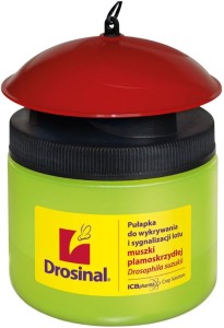 Pułapka na muszkę plamoskrzydłą Drosinal