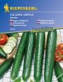 Nasiona ogórków Saladin.