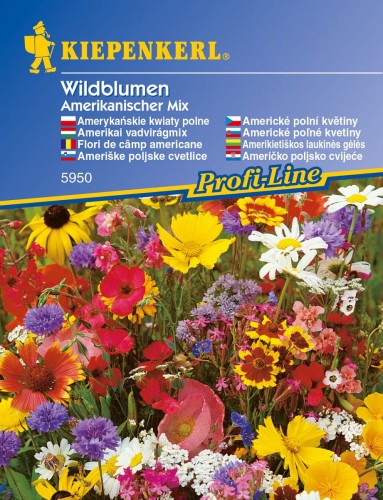 Mieszanka nasion kwiatów amerykańskich.