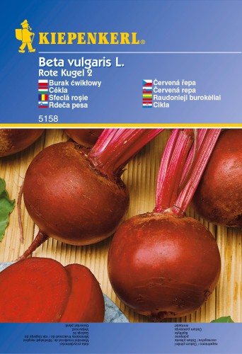 Burak ćwikłowy Rote Kugel 2.