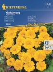 Aksamitka rozpierzchła Goldzwerg nasiona - Kiepenkerl
