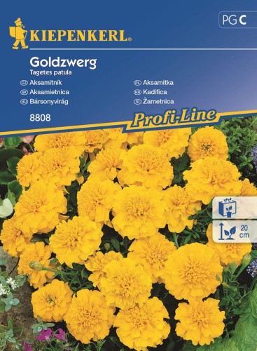 Nasiona aksamitki rozpierzchłej Goldzwerg