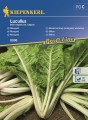 Burak liściowy Lucullus - nasiona