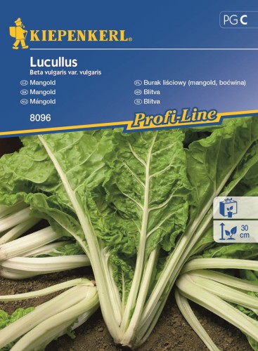 Burak liściowy Lucullus - nasiona