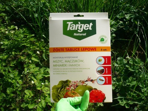 Żółte tablice lepowe na szkodniki Target 5 sztuk
