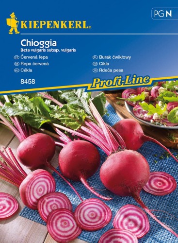 Burak ćwikłowy Chioggia