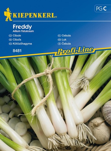 Cebula siedmiolatka Freddy