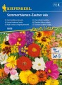 Mieszanka Czar letnich kwiatów Sommerblumen-Zauber Mix - Kiepenkerl