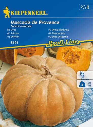 Dynia olbrzymia Muscade de Provence - Kiepenkerl