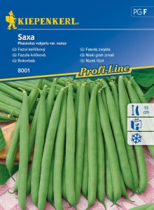 Fasola karłowa Saxa nasiona - Kiepenkerl