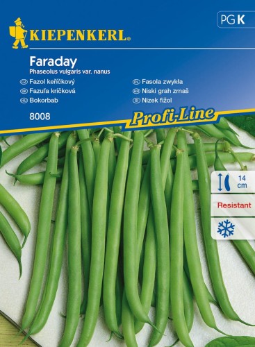 Fasola karłowa Faraday - Kiepenkerl