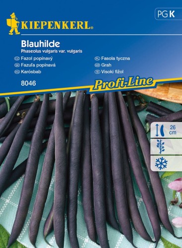 Fasola tyczna Blauhilde - Kiepenkerl