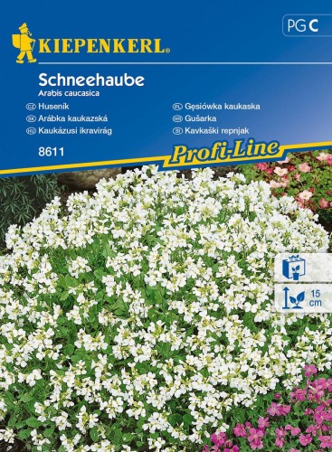 Gęsiówka kaukaska - Kiepenkerl