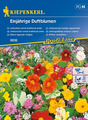 Jednoroczne kwiaty zapachowe - Kiepenkerl