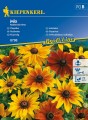 Rudbekia owłosiona - Kiepenkerl