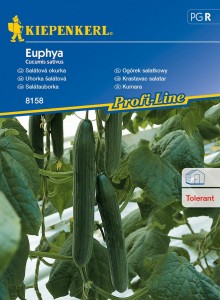 Ogórek sałatkowy Euphya nasiona - Kiepenkerl