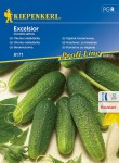 Ogórek konserwowy Excelsior nasiona - Kiepenkerl