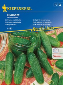 Ogórek konserwowy Diamant nasiona - Kiepenkerl