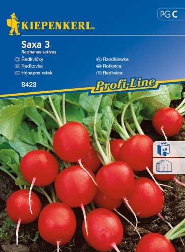 Rzodkiewka Saxa 3