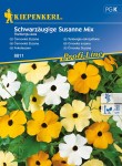 Tunbergia oskrzydlona Mix nasiona - Kiepenkerl
