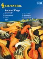 Dynia ozdobna Autumn Wings nasiona - Kiepenkerl